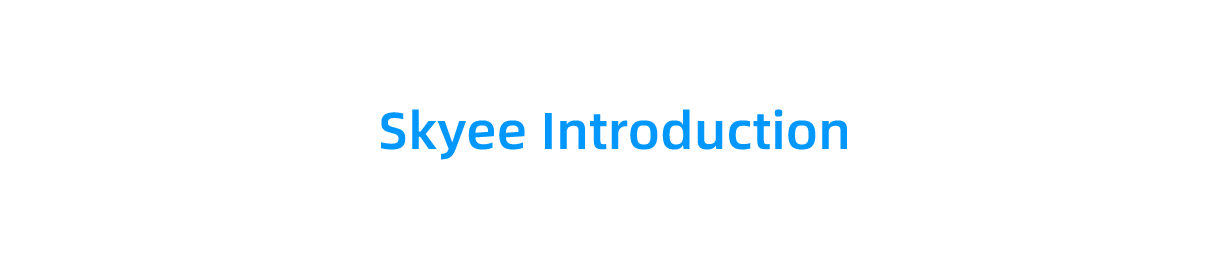 SkyRemit Invite